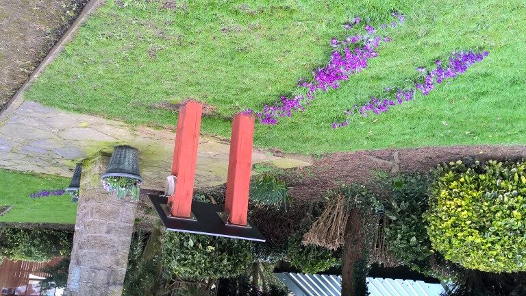 Stanhill in Bloom